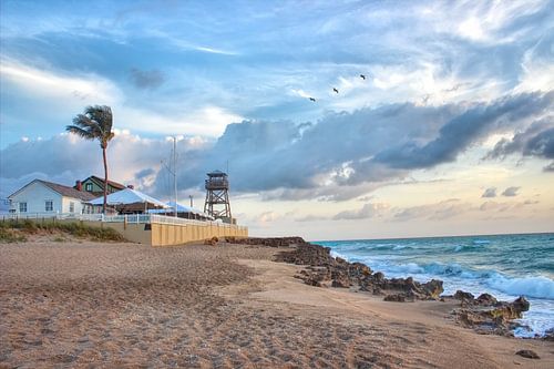 Strömungen -Hutchinson Insel