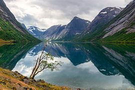 Vue sur le lac Jølstra en Norvège
