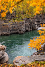 Le canyon d'Abisko en automne sur Julien Pröpper