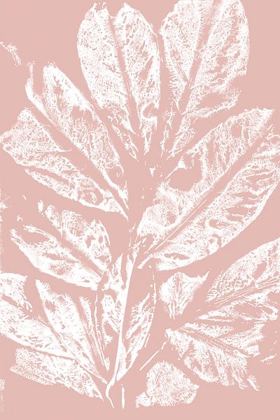 Weiße Blätter im Retro-Stil. Moderne botanische Kunst in Pastellrosa und Weiß. von Dina Dankers