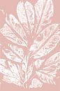 Weiße Blätter im Retro-Stil. Moderne botanische Kunst in Pastellrosa und Weiß. von Dina Dankers Miniaturansicht