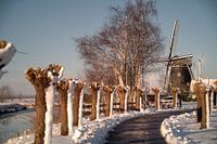 Posters for the world: Coppense Molen