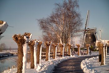 Posters voor de wereld: Coppense Molen