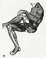 anatomie man met spieren, Reijer Stolk