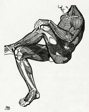 anatomie man met spieren, Reijer Stolk van Atelier Liesjes