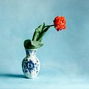 Franse tulp in Delfts Blauwe vaas van Mariska Vereijken thumbnail