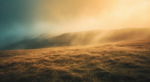 Autumnal alpine pasture in the fog