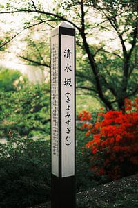 Harmonie in Kiyomizuzaka: natuur en Japanse traditie