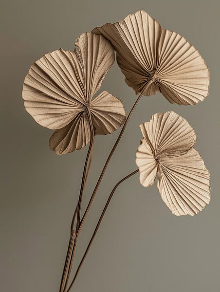 Trockene Blumen von Imagine