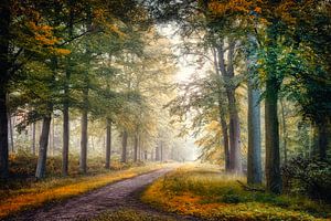 Breda Liesbos im Nebel