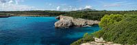 Rotsen in een beboste baai op Mallorca van Hans-Heinrich Runge thumbnail