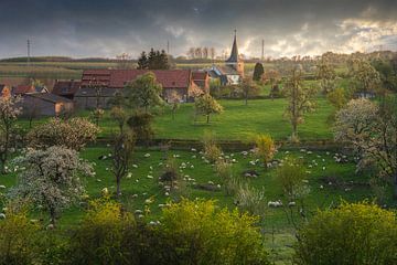 Peaceful spring moments by Loris Photography