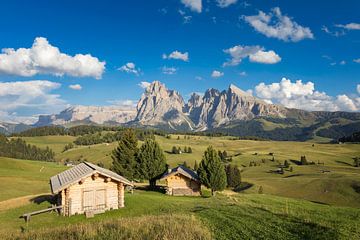 Alpe di Siusi in the Dolomites by Dieter Meyrl