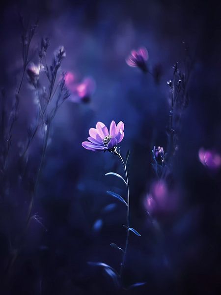 Night garden by haroulita