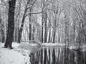 Weerspiegeling besneeuwde bomen van Paul Beentjes thumbnail