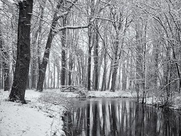 Reflections of snow-covered trees