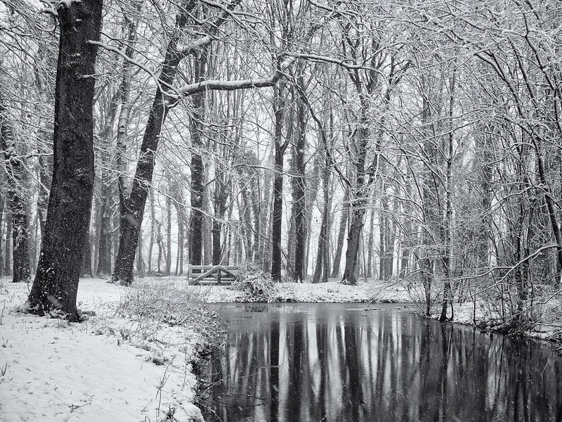 Reflections of snow-covered trees by Paul Beentjes