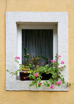 Raam van een huis in het dorp Rathen in het Elbsansteingebergte