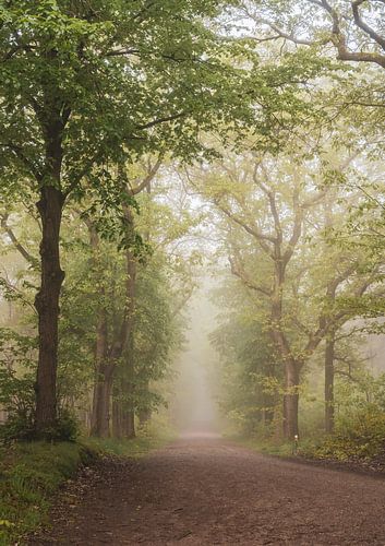 schilderachtige bomen