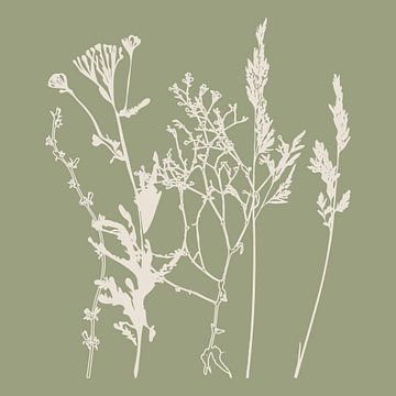 Meadow Botanical art in Sage Green and Beige no. 9 by Dina Dankers