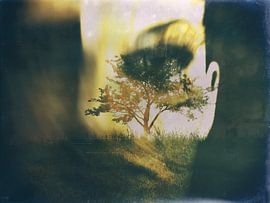 During spring time von Gabi Hampe