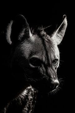 Hyena van Poster Art Shop