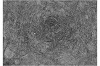 Black hole