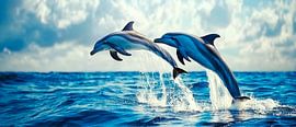 Dauphins sautant dans la mer bleue sur Poster Art Shop