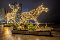 weihnachtliche Dekoration an der Ostsee von Thomas Riess Miniaturansicht