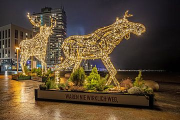 weihnachtliche Dekoration an der Ostsee von Thomas Riess