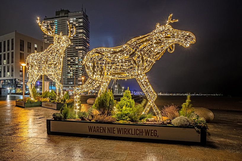 weihnachtliche Dekoration an der Ostsee von Thomas Riess
