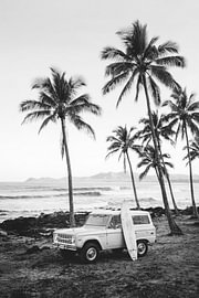 Im Beachbw von Kathrin Pienaar
