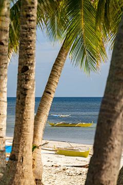 Palmen und Meer mit Bangka Boot zum Sonnenuntergang auf der Insel Siquijor auf Philippinen von Daniel Pahmeier