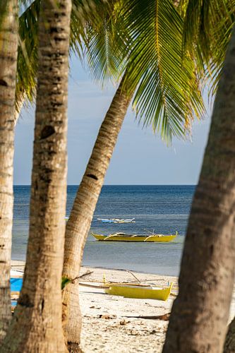Palm trees and sea with Bangka boat for sunset on Siquijor island in Philippines