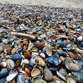 Schelpenstrand aan de Noordzee van Blond Beeld