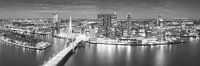 Zwart Wit Panorama Rotterdam Skyline - Zalmhaventoren