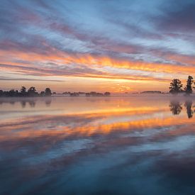 Der Schwan - Spiegelung bei Sonnenaufgang von Arno Prijs