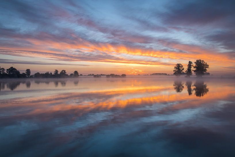 Der Schwan - Spiegelung bei Sonnenaufgang von Arno Prijs