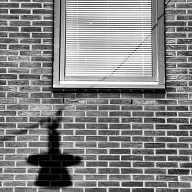 Shadowfall by Jan van der Knaap