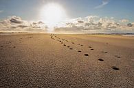 Fußstapfen im Sand von Jaco Verpoorte Miniaturansicht