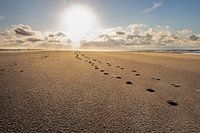 Footsteps in the sand