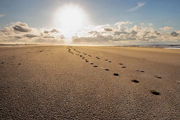 Des pas dans le sable