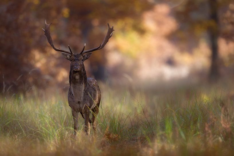 Posing, Sebastian Mastahac von 1x