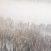 Noorse wildernis vanuit de lucht | Abstract natuurfoto zonsopkomst van Dylan gaat naar buiten