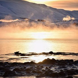 Trouver le phoque sur Elisa in Iceland