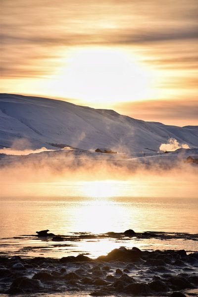 Trouver le phoque par Elisa in Iceland