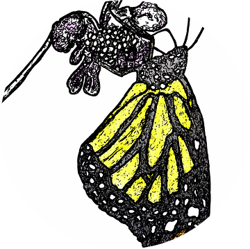 Monarchvlinder. van Jose Lok