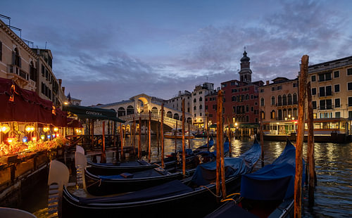 Un matin au pont du Rialto à Venise.