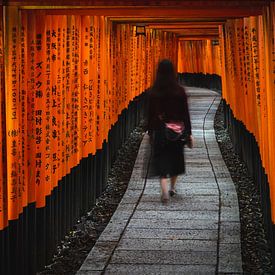 Fushimi Inari Taisha Shrine van Melanie Jahn