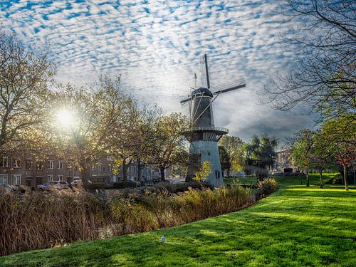 Molen 'De Drie Koornbloemen'
